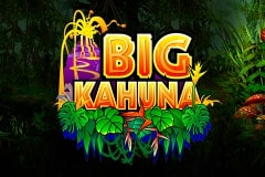 Игровой автомат Big Kahuna играть онлайн в Казино Х title=